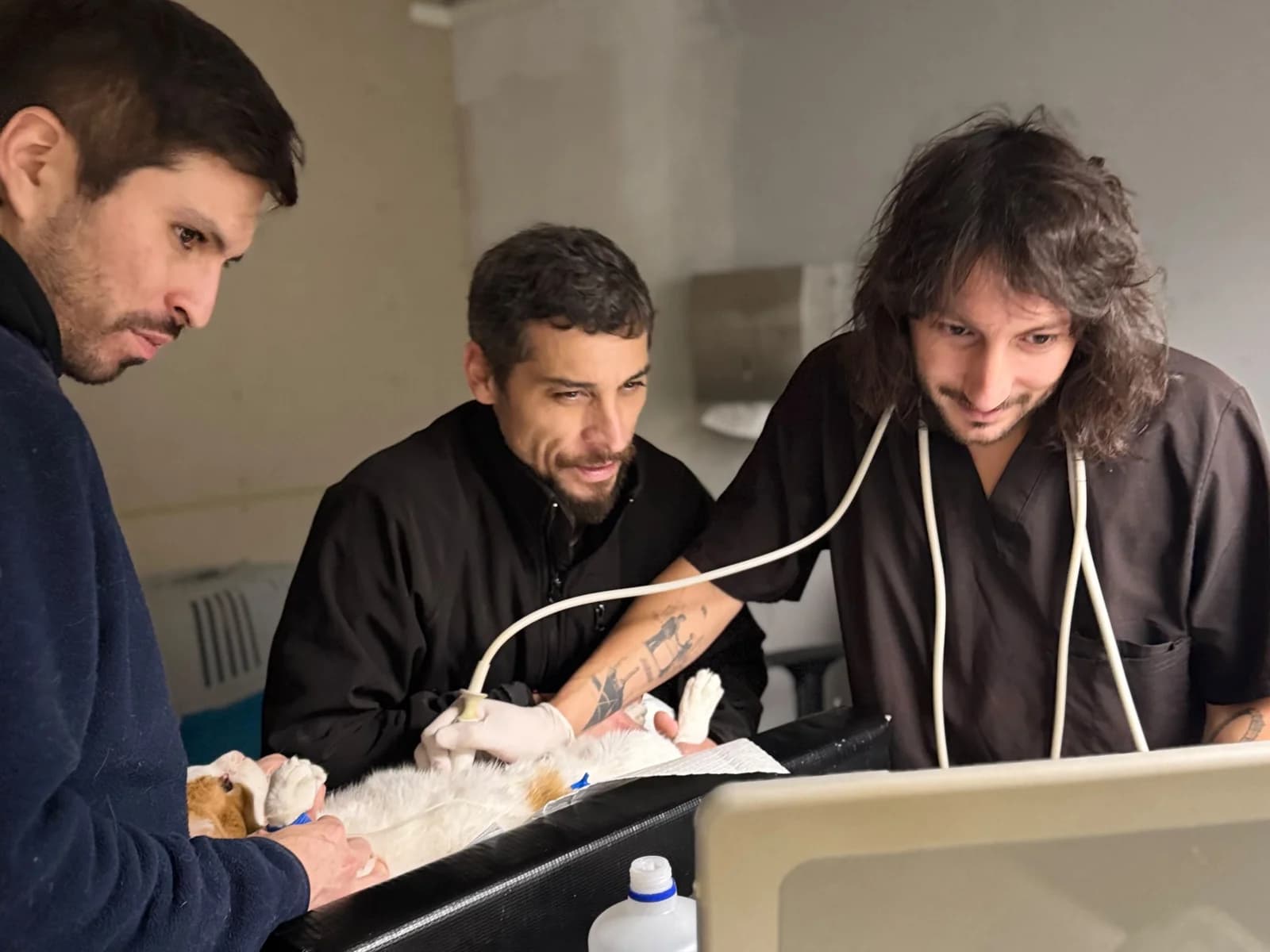 Tres especialistas de TopCat revisando juntos el ecógrafo de un paciente