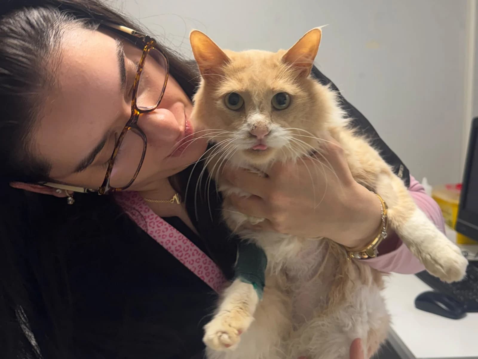 Integrante del equipo de TopCat con un gato en brazos antes de tomarle la muestra