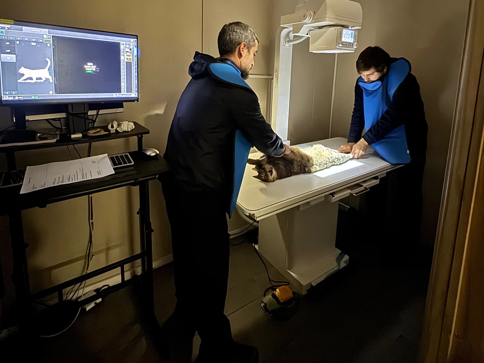 Equipo de TopCat con delantales plomados posicionando a un gato para una radiografía
